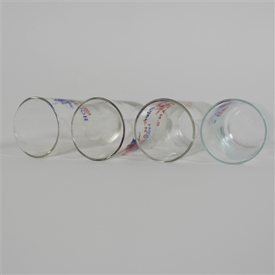 Holihan's Ale Beer Set 4 Different ACL Glasses