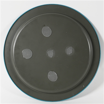 Health Beverage Company Famous Reading Beer Tray