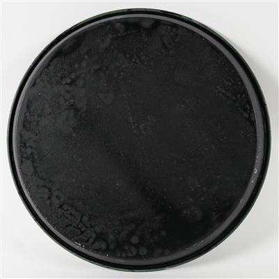 Harvard Ales Beer  Porter Fully Aged Tastes Better Tray EXCELLENT